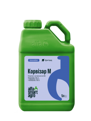 Корвізар М, КЕ