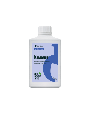 Камелот, КЕ