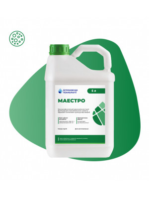 Маестро, КЕ