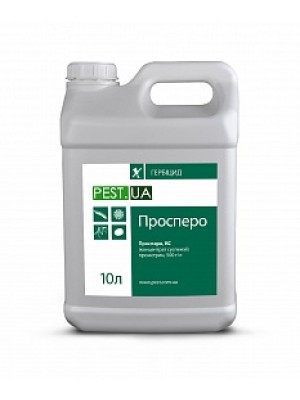 Просперо, КС
