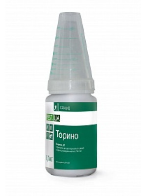 Торино, ВГ Торино, ВГ