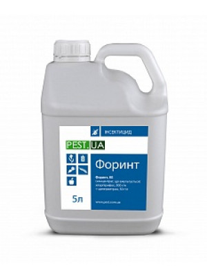 Форинт, КЕ